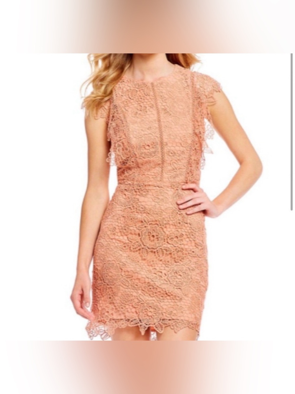 Gianni Bini Nude Peach Lace Sheath Dress Size Medium